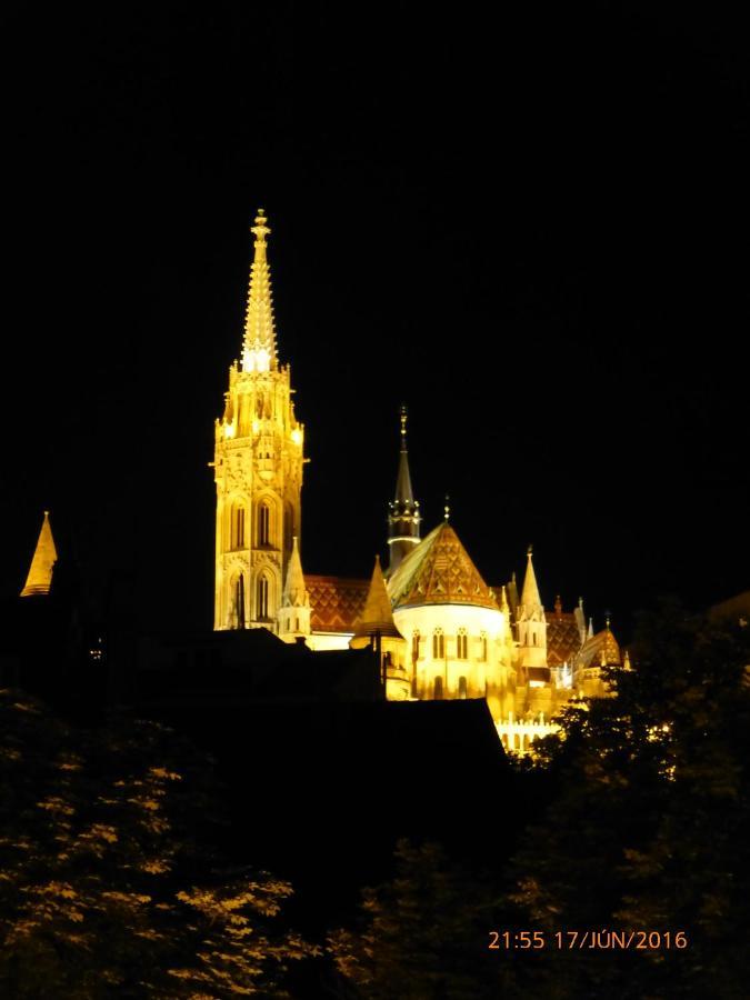 Elegant Apartment With Buda Castle View Budapest Bagian luar foto